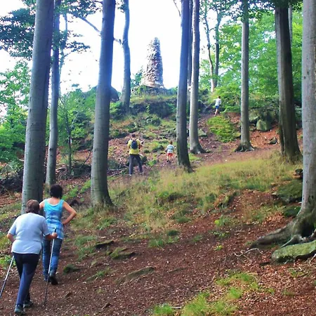 Apartament Waldblick *