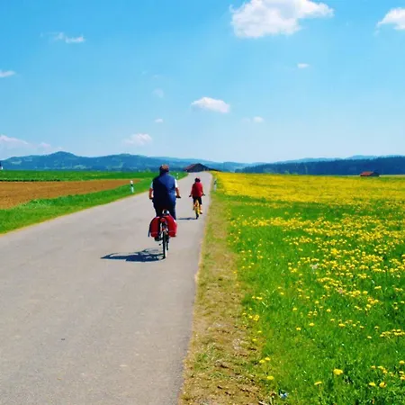 Waldblick Apartament