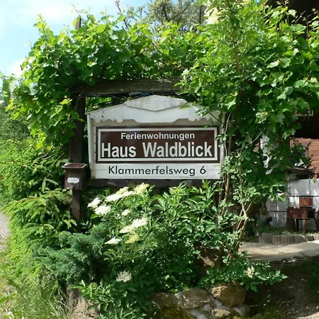 Waldblick Apartament *