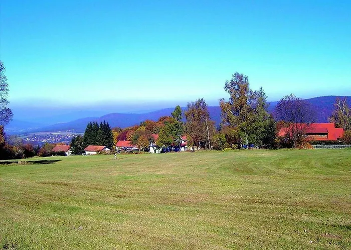Waldblick