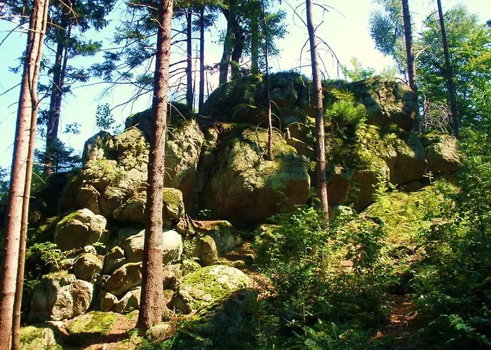 Waldblick Waldmünchen