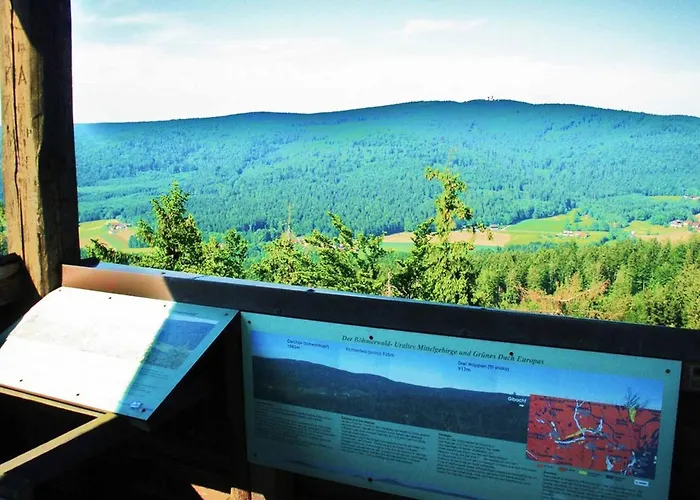 Waldblick