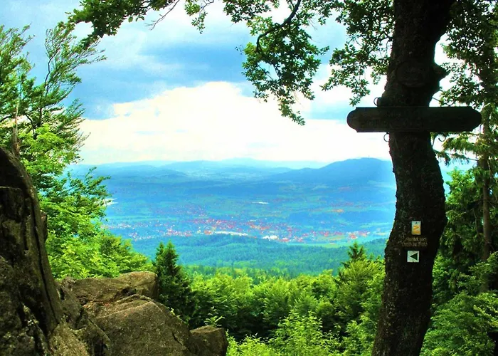 Waldblick * Waldmünchen