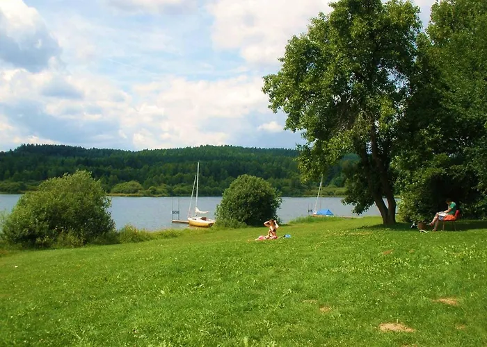 Waldblick Waldmünchen