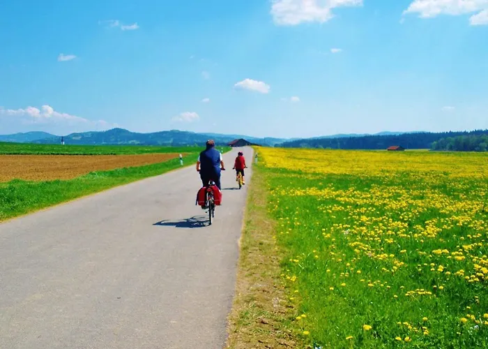 Waldblick Appartamento