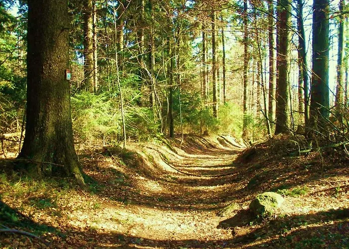 Waldblick * Waldmünchen