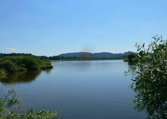Waldblick