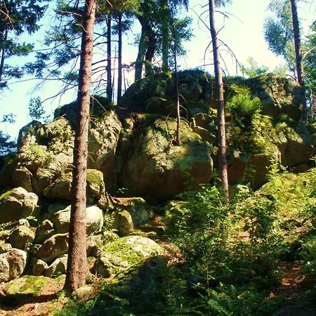 Waldblick Waldmuenchen