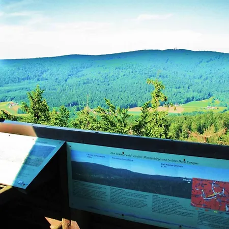 Waldblick