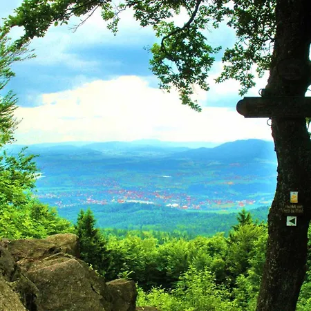 Waldblick * Waldmuenchen