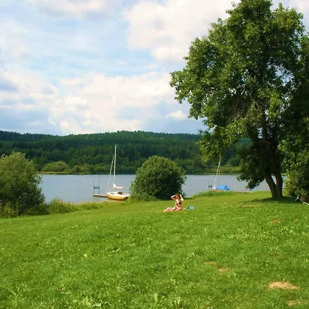 Waldblick Waldmuenchen