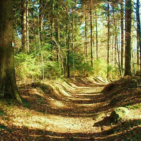 Waldblick * Waldmuenchen