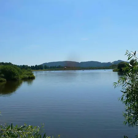 Waldblick